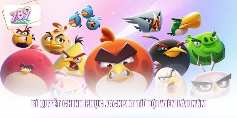 Bí quyết chinh phục jackpot từ hội viên lâu năm