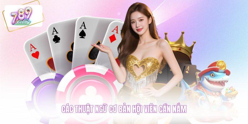 Các thuật ngữ cơ bản hội viên cần nắm