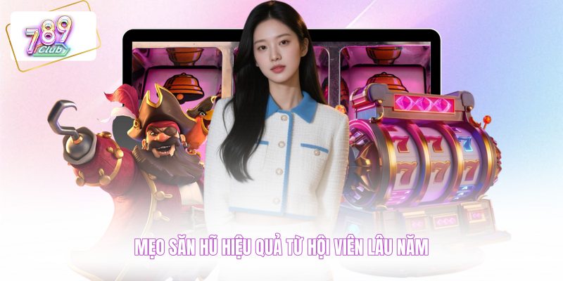 Mẹo săn hũ hiệu quả từ hội viên lâu năm